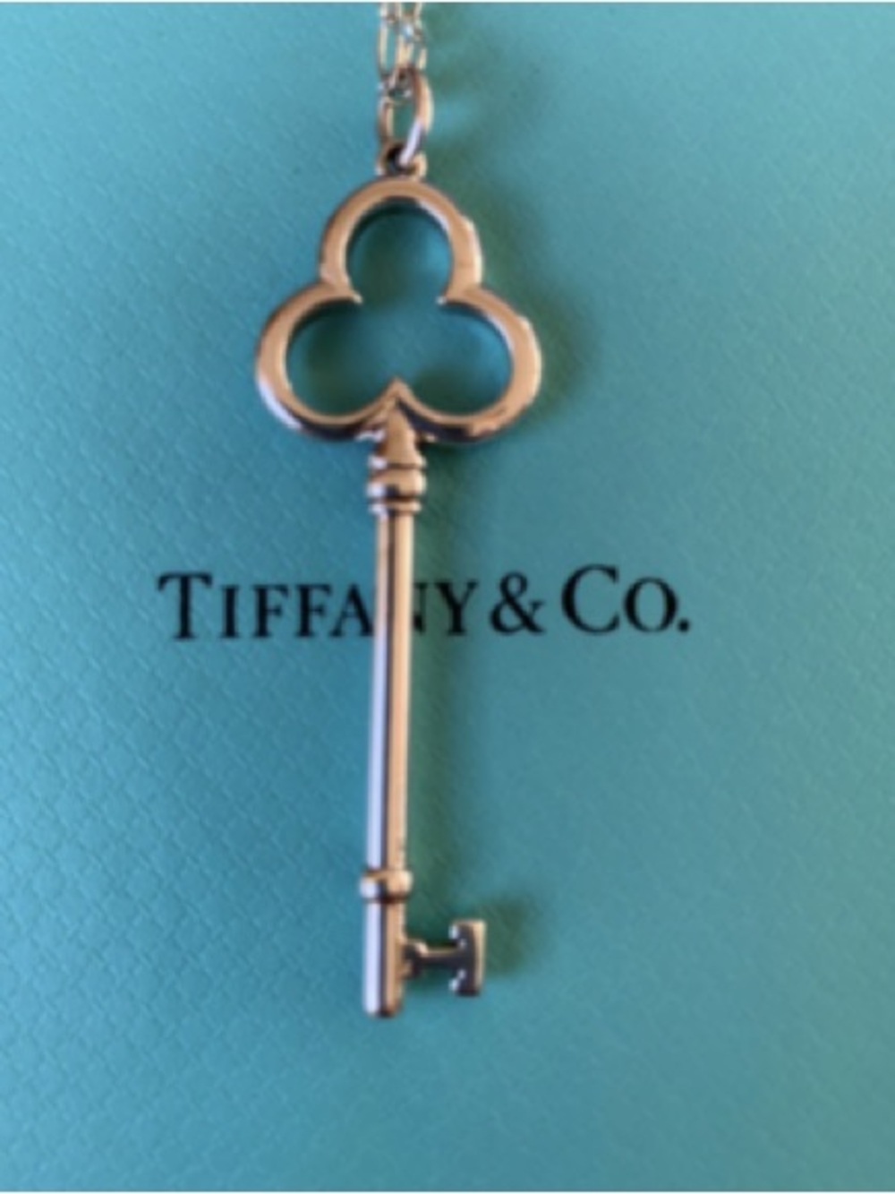Tiffany & Co. Vintage Key Charm with original pouch